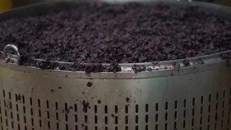 proceso de elaboración del vino: trituración y procesamiento de las uvas