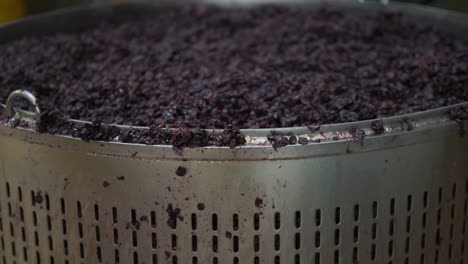 winemaking process: crushing and processing grapes