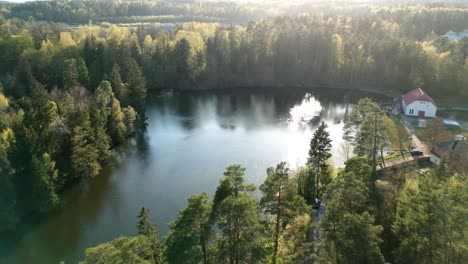 a stunning view of a picturesque lake amidst deep forests, with a cottage standing nearby