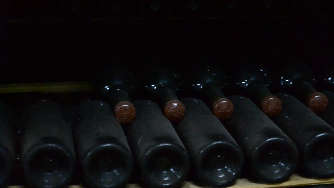 Lang kælder med unik vin