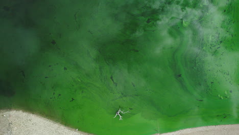 Cambio-Climático:-Lago-árido-Y-Desolado