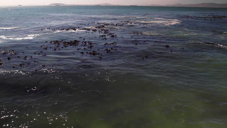 El-Océano-Atlántico-Frente-A-La-Ciudad-Del-Cabo