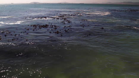 the atlantic ocean off cape `town