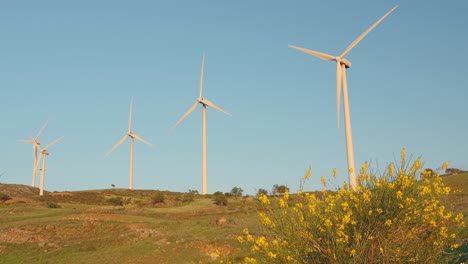 Sunset with Wind Turbines, Wind Energy.