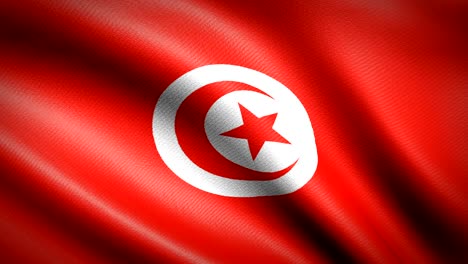 tunisia flag. seamless looping animation. 4k high definition video