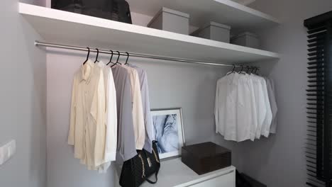 modern and stylish bulit-in walk in closet decoration idea