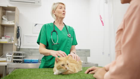 Gespräche,-Beratung-Und-Tierarztbesuch-Mit-Einem-Haustier