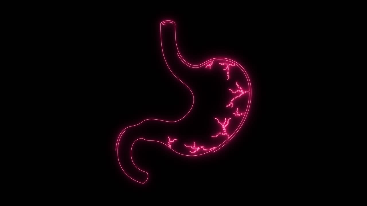 Неоново-розовый контур человеческого желудка с внутренней активностью
