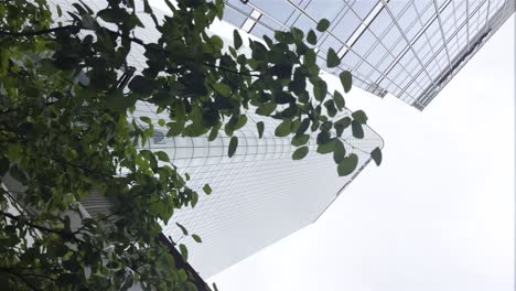 low angle view of great business buildings high reaching towards heaven book of revelations the ruler of the world cloudy weather glass reflecting walls massive windows hiding behind bushes cinematic