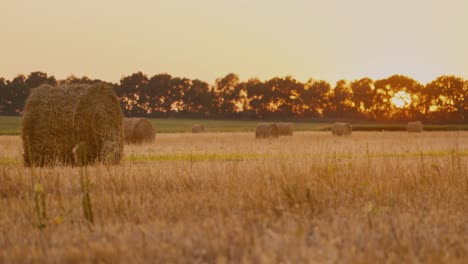 A-stack-of-hay-lays-in-a-field-after-harvest-1