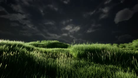 Gewitterwolken-über-Der-Wiese-Mit-Grünem-Gras