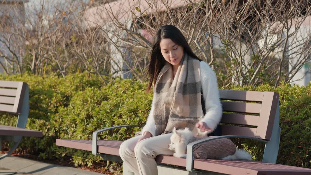 포메라니아 개와 여자 야외