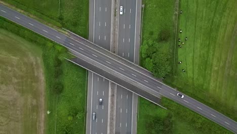 busy motorway crossing