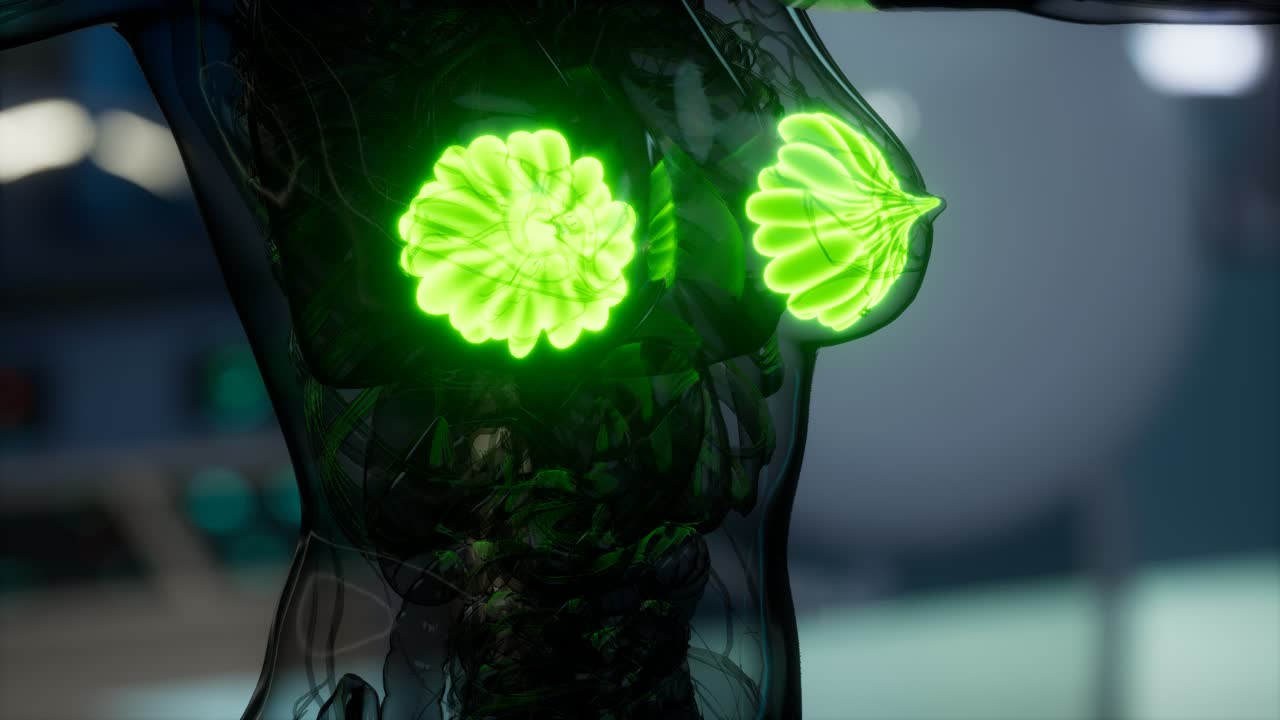 여성 유방 의 의학적 검사