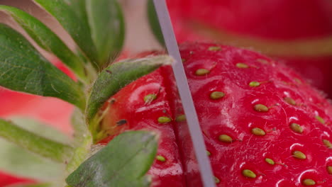 macro shot of strawberry being cut into