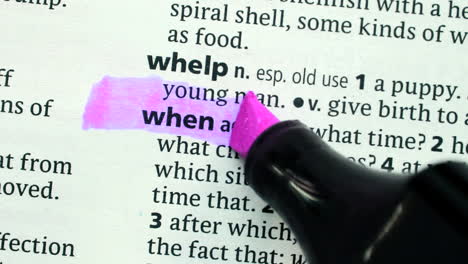 when highlighted in pink