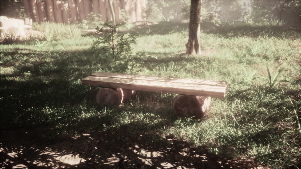 Peaceful Wooden Bench in a Forest