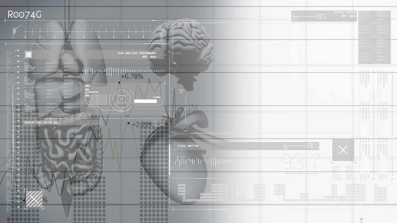 Animation of digital interface over human organs model
