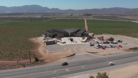 aerial view of a vineyard at valle de guadalupe, baja california