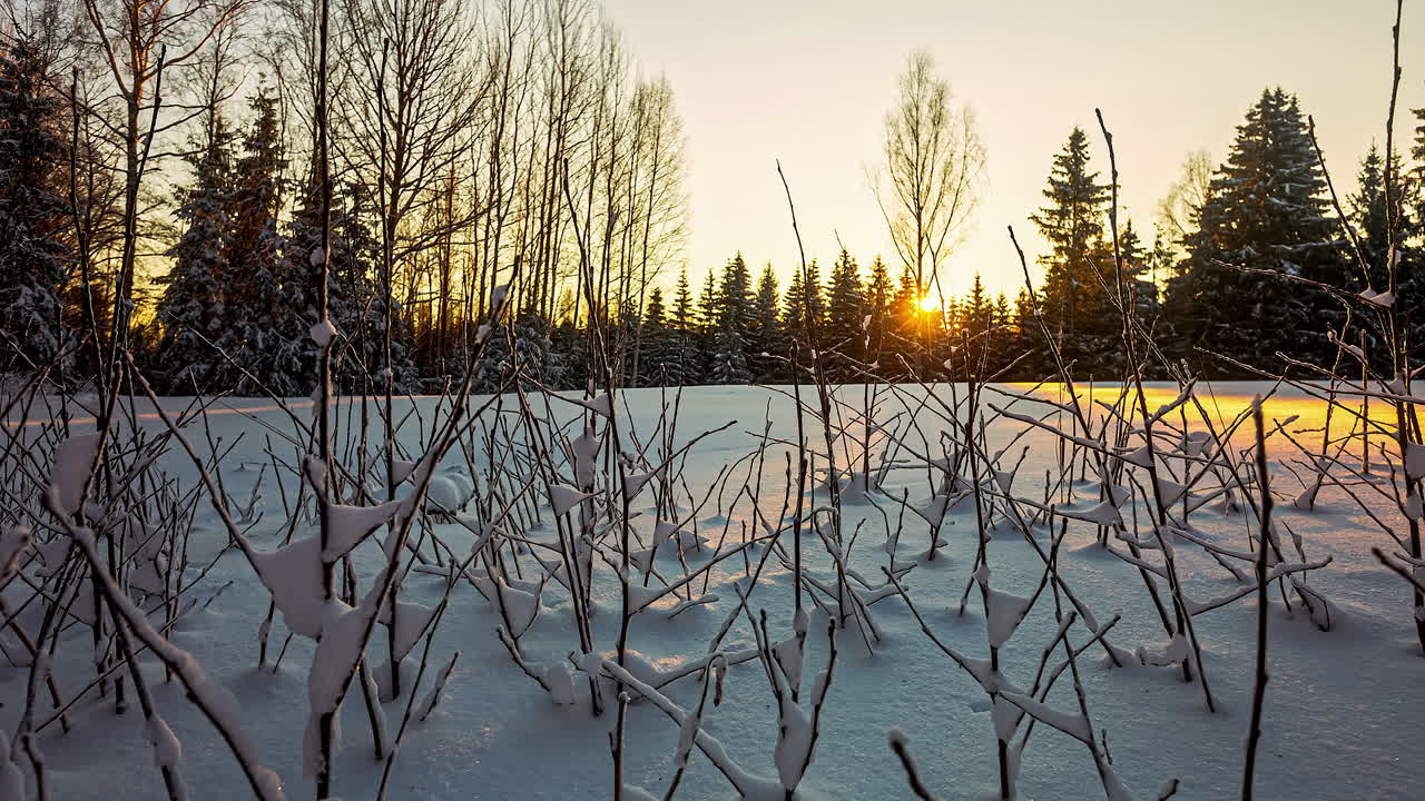 황금빛 일출 시간 경과