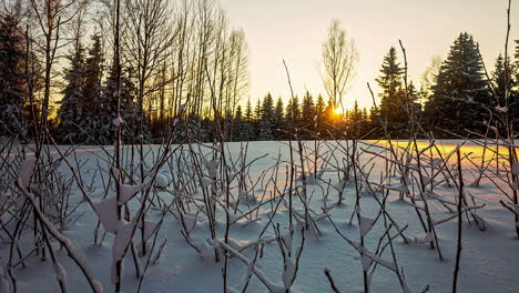 golden sunrise time lapse