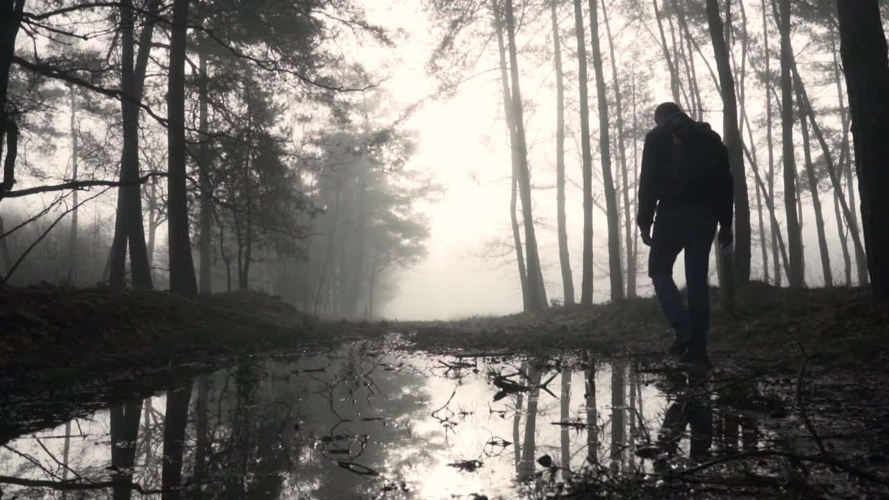 Uomo che cammina in una foresta nebbiosa