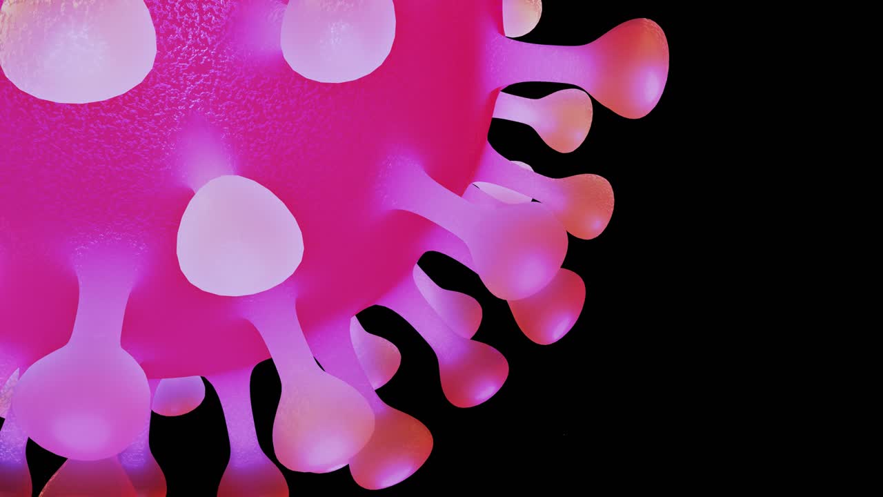 close-up coronavirus type covid-19, h1n1, bird flu or swine flu move smoothly in fluid 3d representation of virus as microbiological microscopic looped background. Red blue gradient