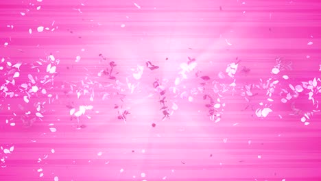 spiral shiny particle of cherry blossoms. sakura pattern. japanese cherry dancing. vortex from pink petals. abstract loop animation.