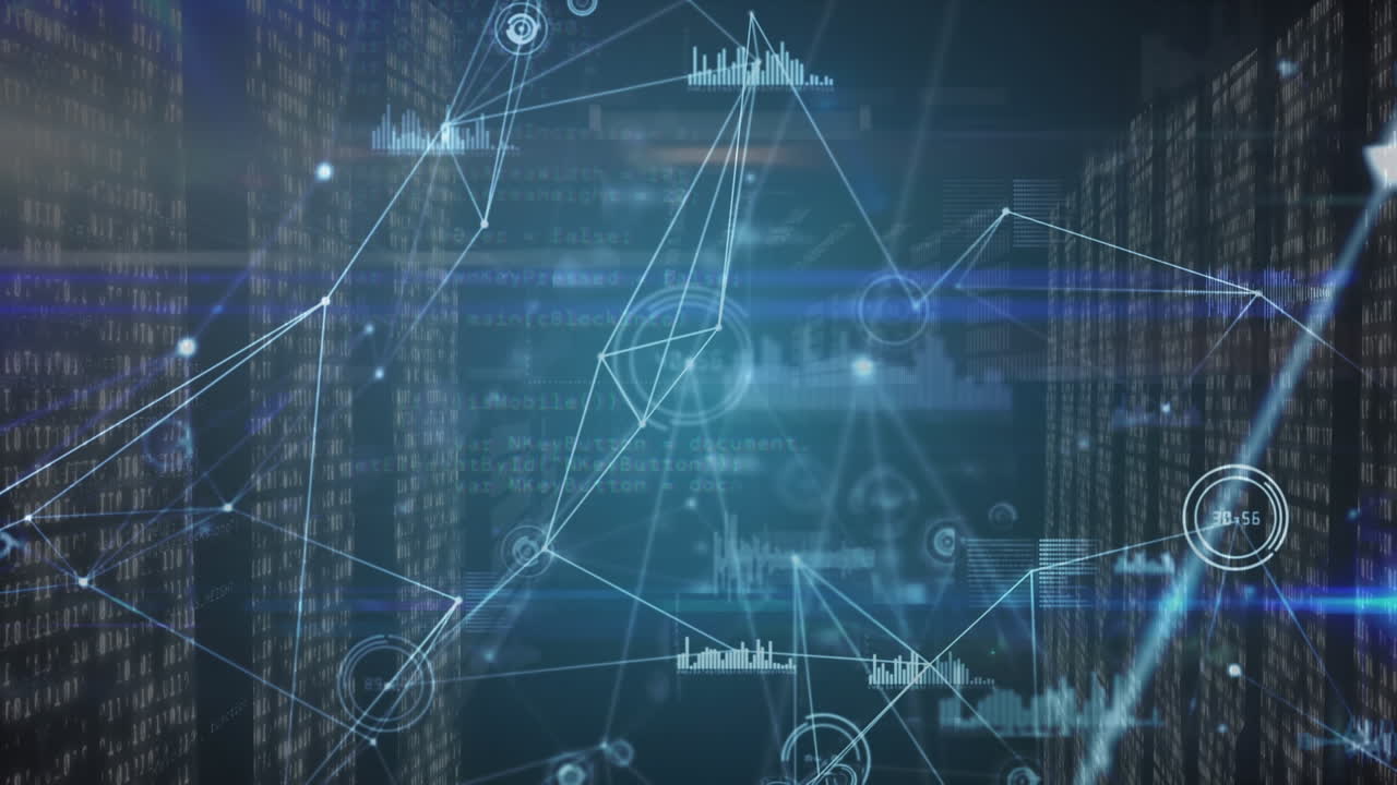 Animation of network of connections and diverse data over data processing in servers
