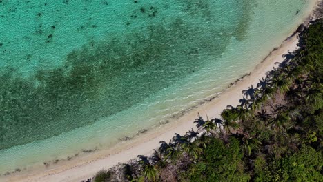 Top-down-drone-footage-of-a-tropical-beach-near-Palawan-in-the-Philippines