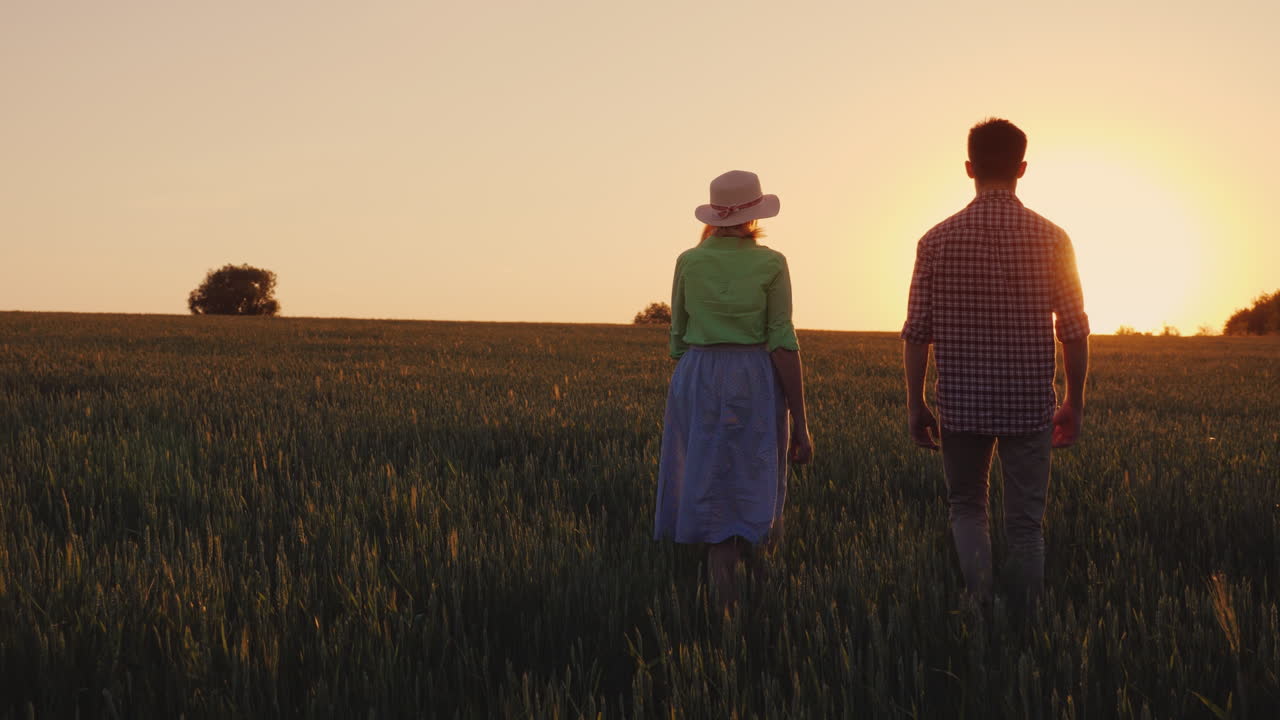 두 명의 젊은 농부 남녀가 일몰 유기농 농부 개념 4k에서 밀밭을 따라 걷고 있습니다.