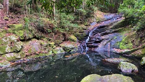 Ein-Ruhiger-Und-Friedlich-Plätschernder-Wasserfall-Und-Ein-Felsenbecken-In-Einem-Dichten-Dschungel-Regenwald,-Mit-Uralten-Alten-Moosbedeckten-Felsen,-Die-Eine-Jura-Atmosphäre-Vermitteln