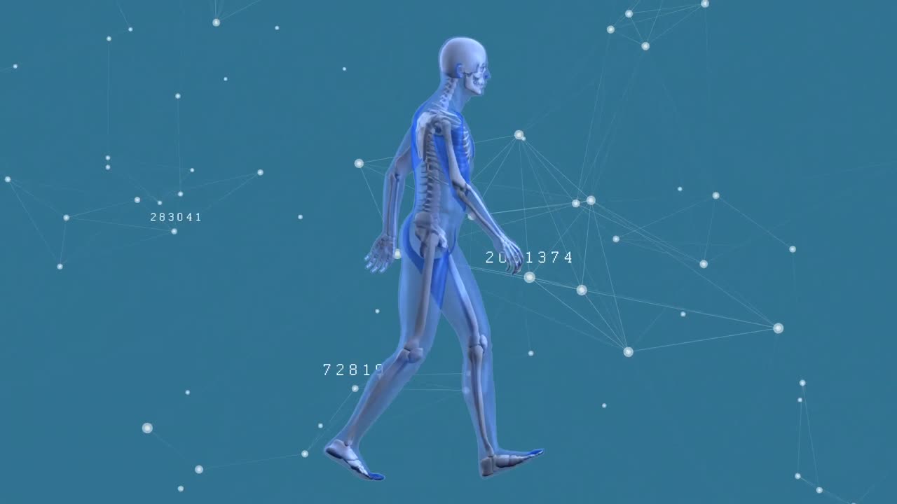 animación de la red de conexiones con números a través de humanos digitales