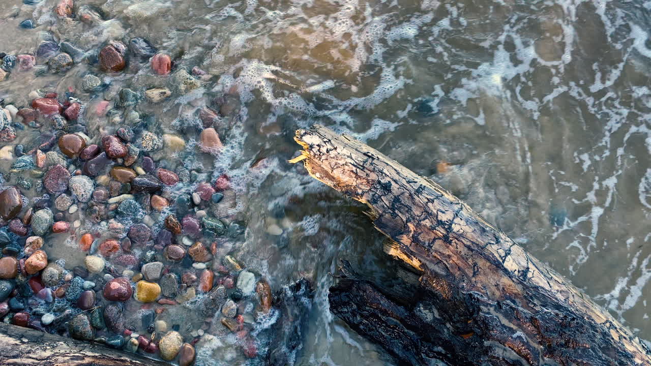 햇빛이 비치는 동안 해안에 있는 나무 줄기와 화려한 돌에 부딪히는 파도의 최고 전망
