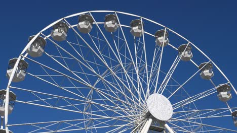 파란 슬리 (blue sly) 에 대항하는 페리스  (ferris wheel) 이 작동하고 있습니다.