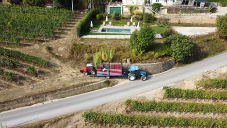 agricultor cosechando viña con maquinaria de tractor