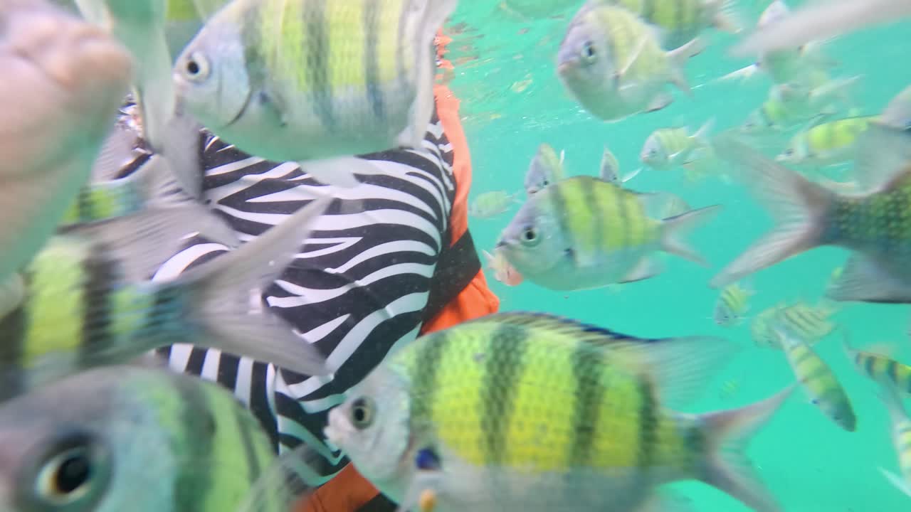 다채로운 물고기가 은 물에서 스노클러를 둘러싸고 수영합니다.