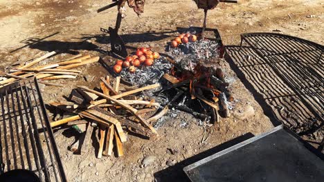 Wine-Country-Feast:-Enjoying-a-Beef-Rib-Rack-with-a-Scenic-Blend-of-Vineyards-and-Mountains