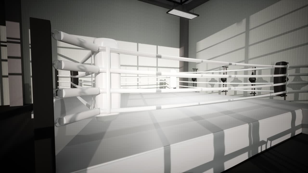 Sunlit Modern Boxing Gym With Empty White Ring