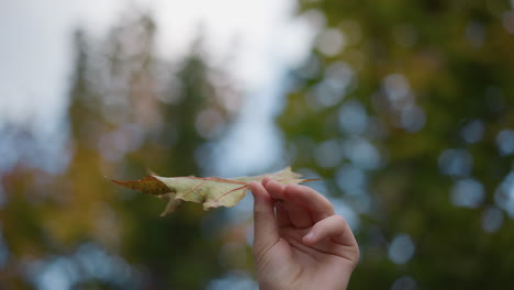 close-up of hand delicately holding rusted leaf, observing its texture and details thoughtfully, with blurred background of greenery and sunlight filtering through leaves