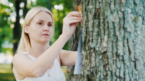 young woman attaches an ad to a tree in the park