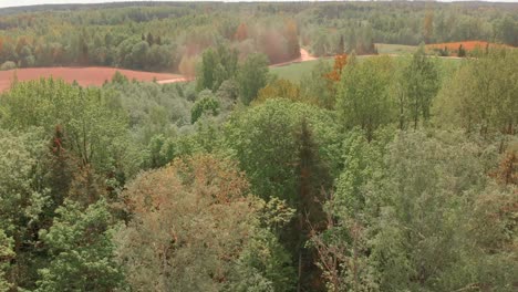 drohne fliegt vorwärts über dem wald in nordeuropa, sonniger sommertag