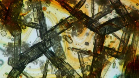 intricate crystal structures observed under microscopy: a journey through various phases and colors displaying the beauty of natural minerals in close-up