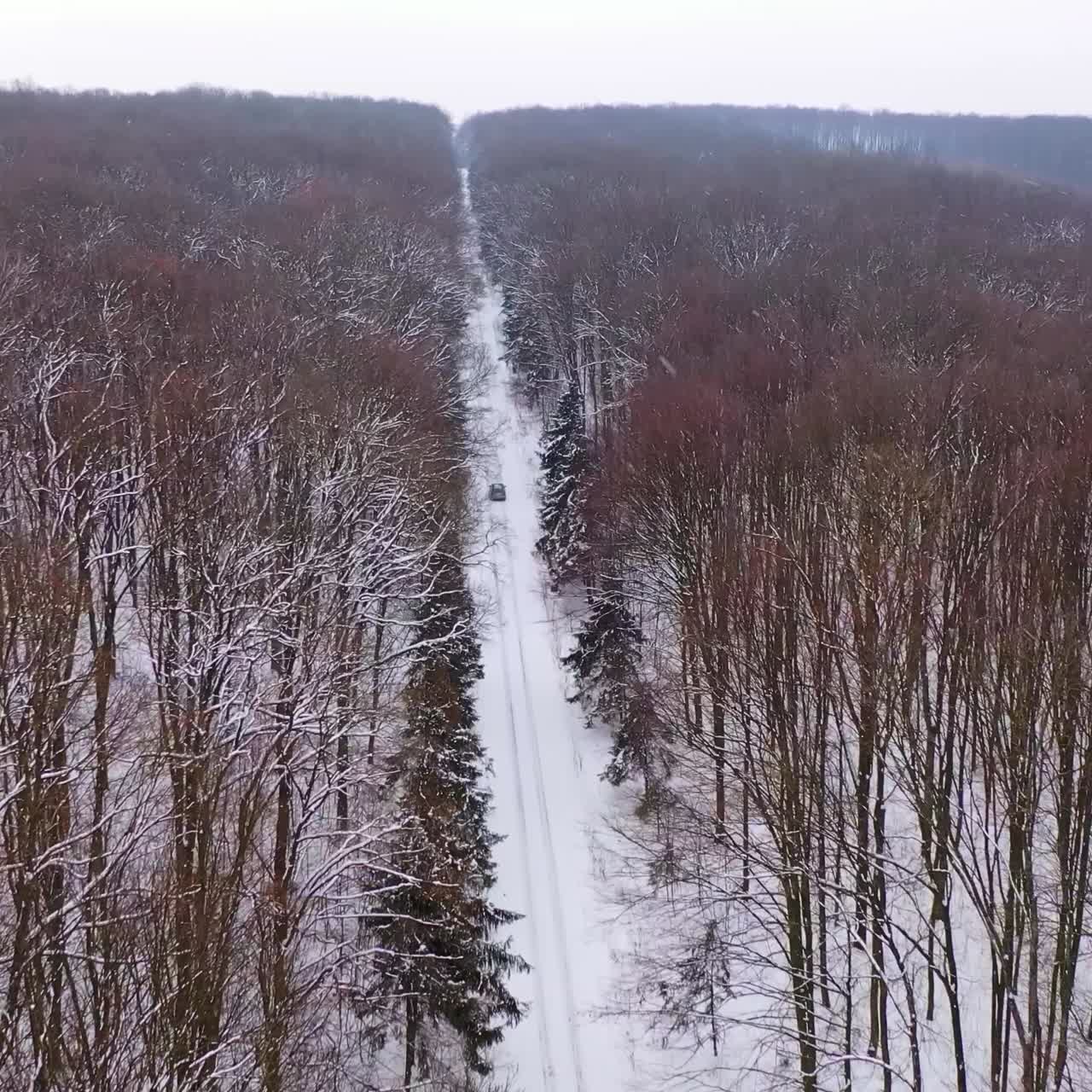Flying over winter forest