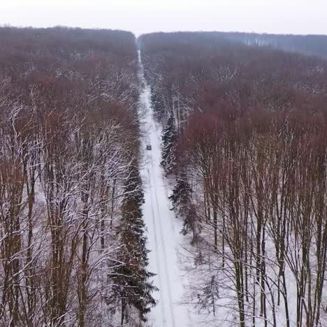 flying over winter forest