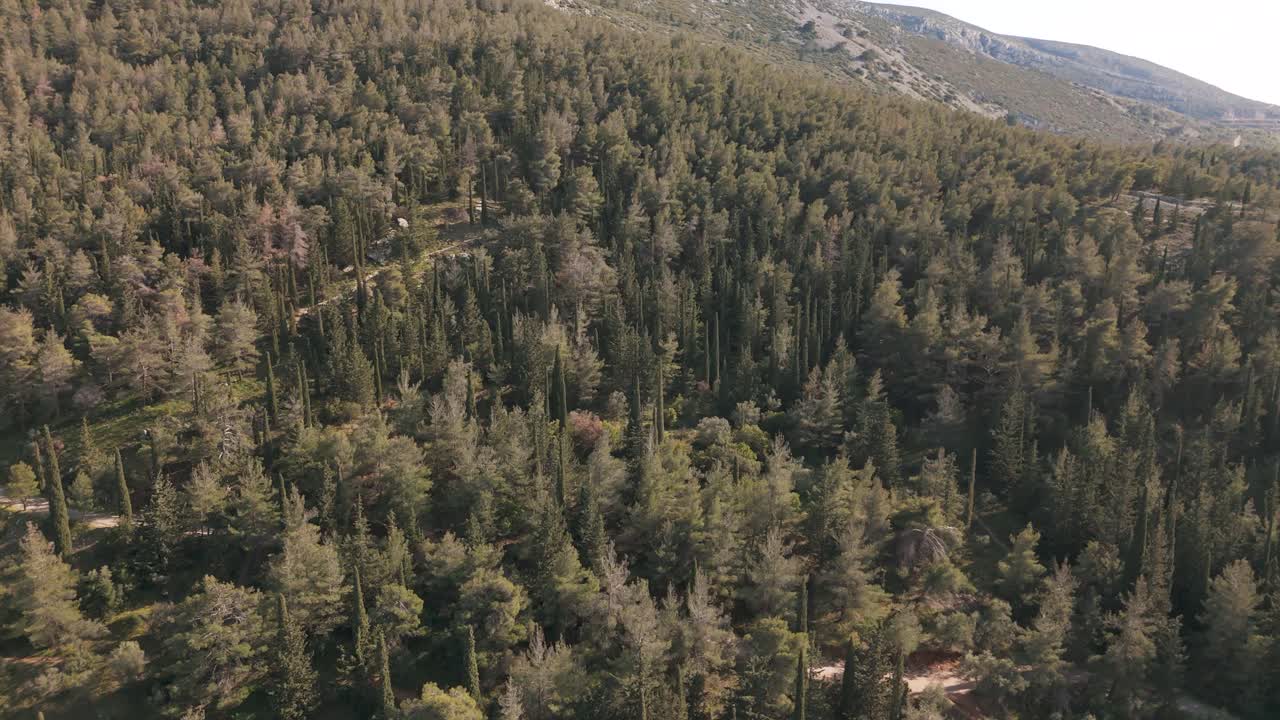 Vista aerea tranquilla del Monte Ymittos, Grecia, con un paesaggio di foresta lussureggiante