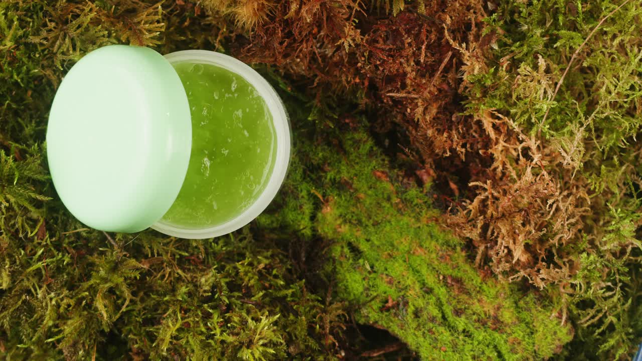 Bottle of cosmetics cream serum on moss forest background green leaves. Woman Make up healthy natural products.