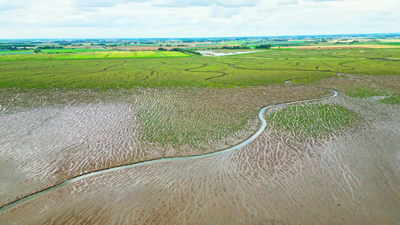 pisos de barro agrietados en un pantano salado