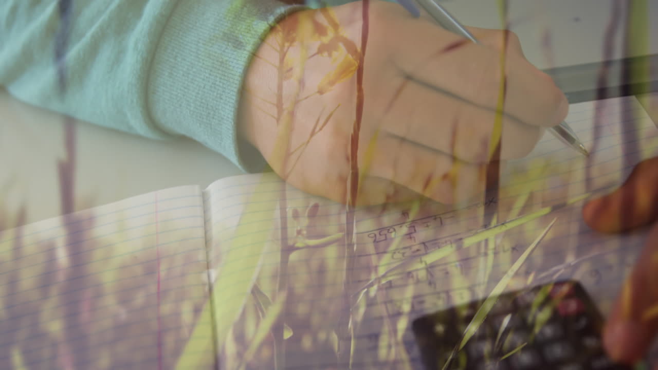 백인 남자가  ⁇ 에 있는 초록 잔디 위에 수학 방정식을 쓰는 애니메이션