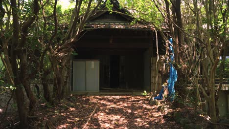 Abandoned-Japanese-Akiya-Mansion-in-Wakayama-Forest,-Decaying-and-Left-in-Time